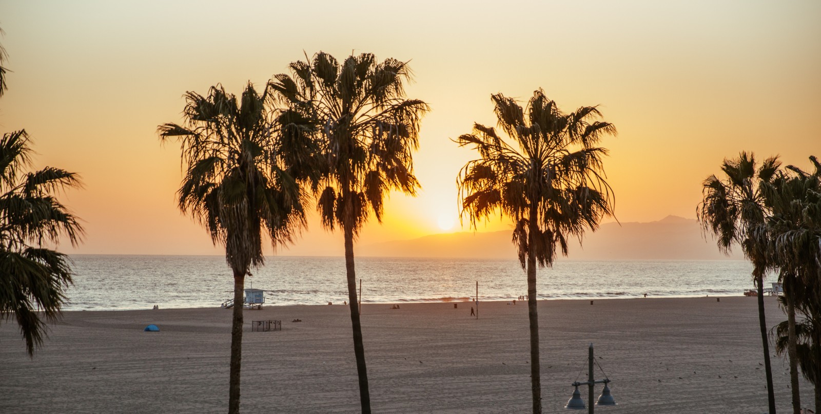 Stay Open Venice Beach photo 7