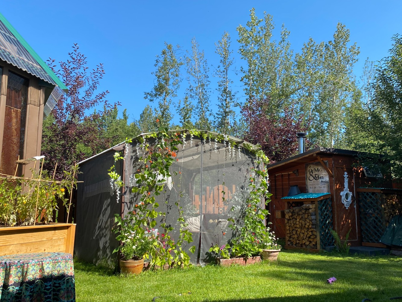 Billie's Backpackers Hostel photo 8